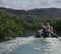 Mangrove Excursion